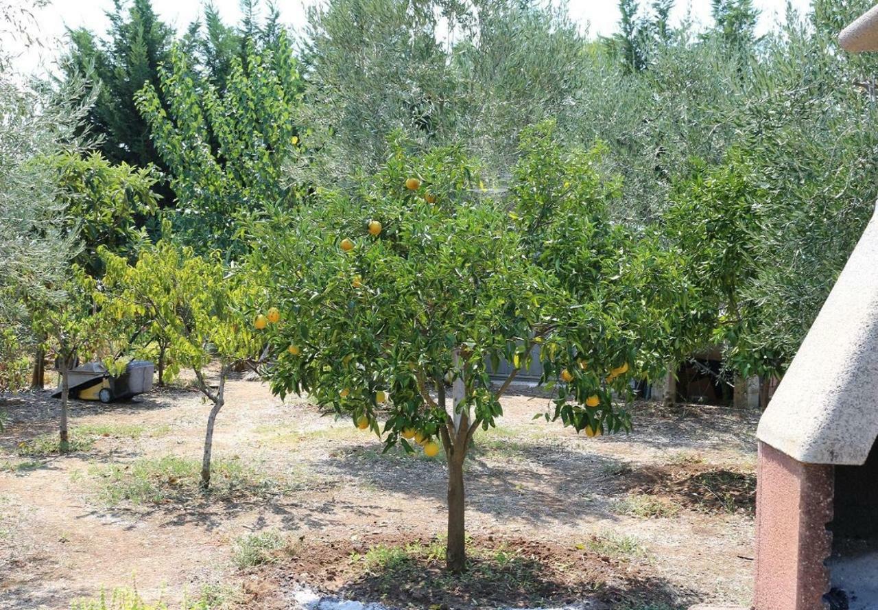 Villa La Piana Peschici Kültér fotó